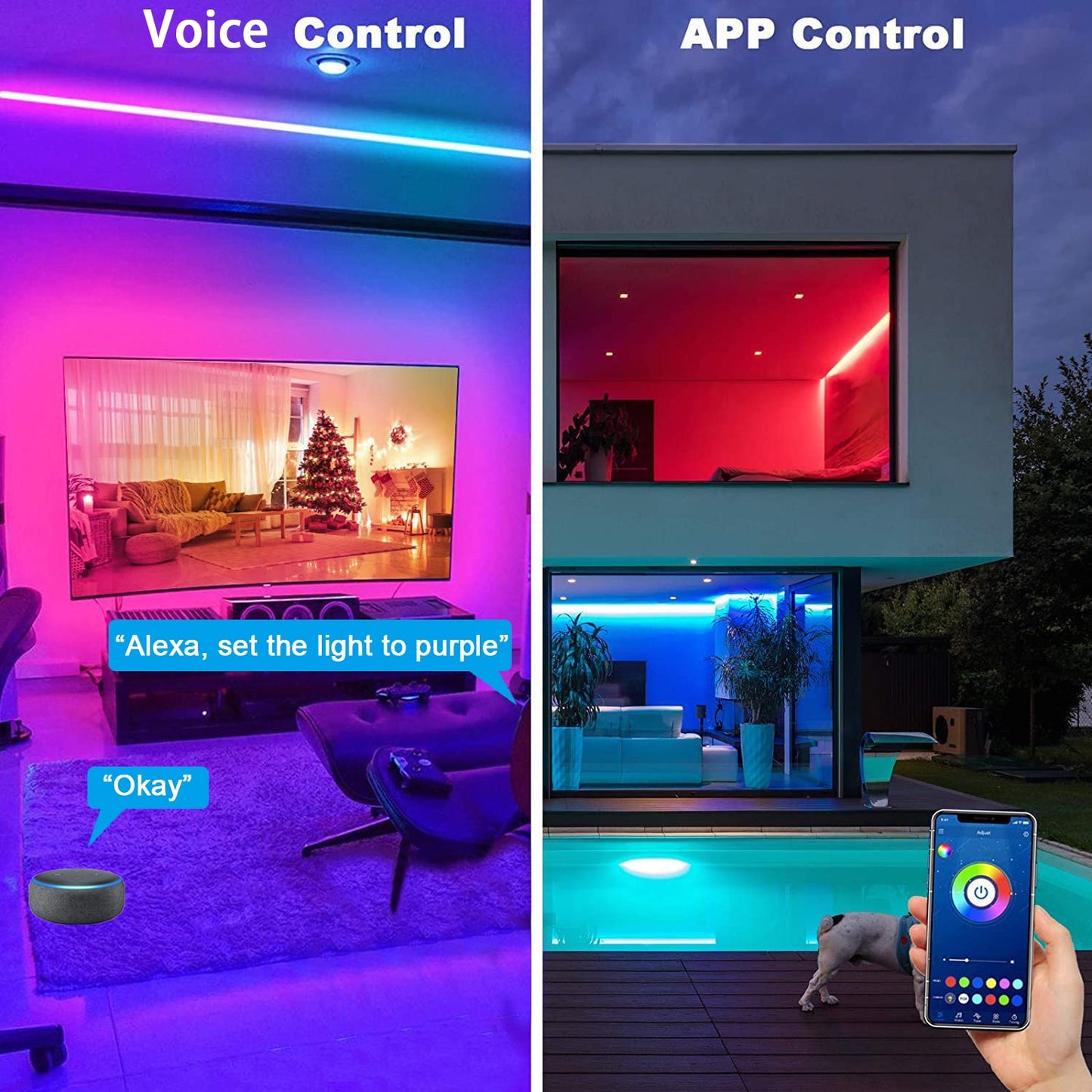 Wifi bande lumineuse LED musique synchronisation RGB 5050 Alexa LED bande bande lumineuse intelligente fête salle décor TV rétro éclairage