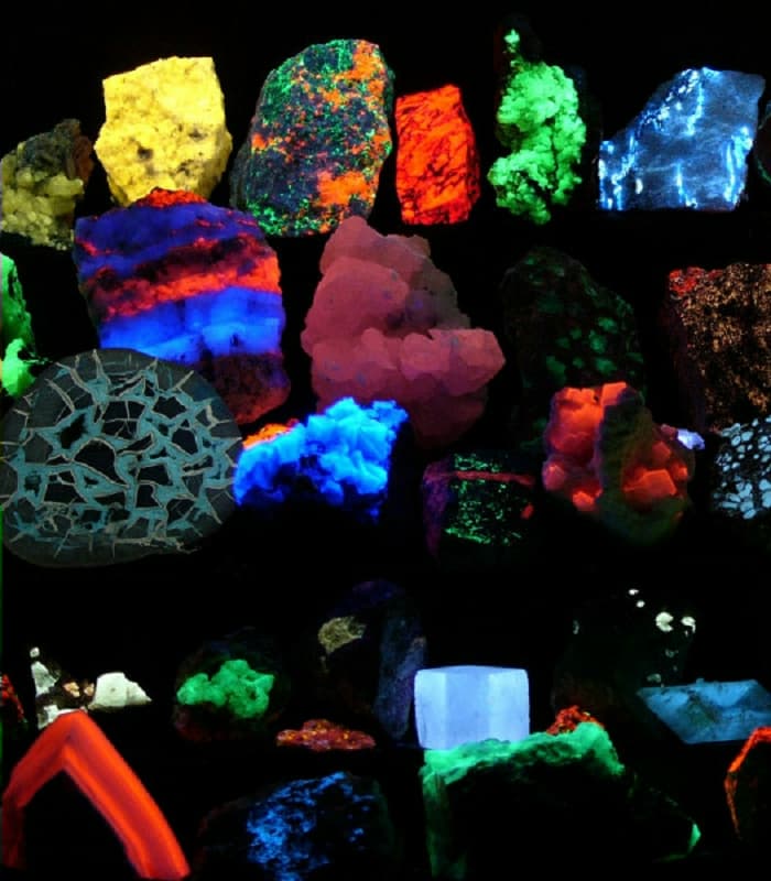 Lâmpada Fluorescente Luz Negra 18W